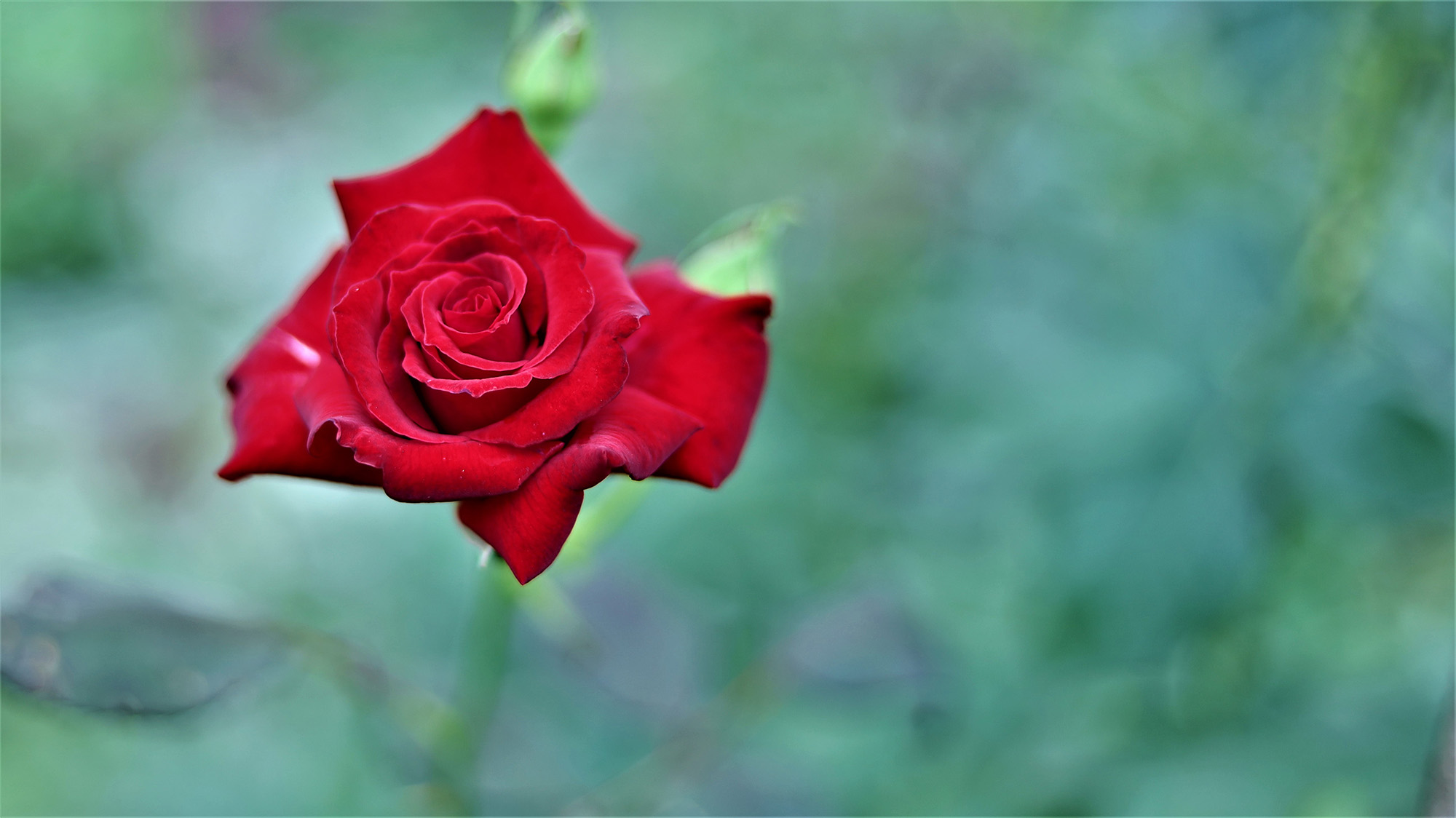 8R3A3829.JPG