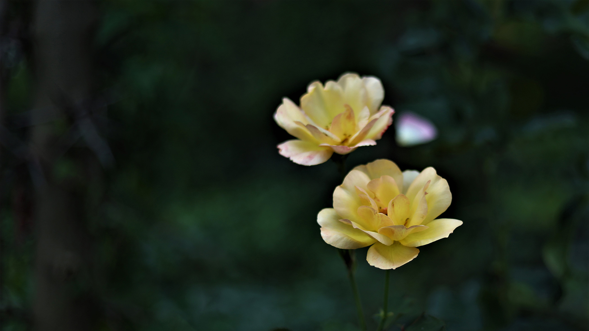 8R3A4094.JPG