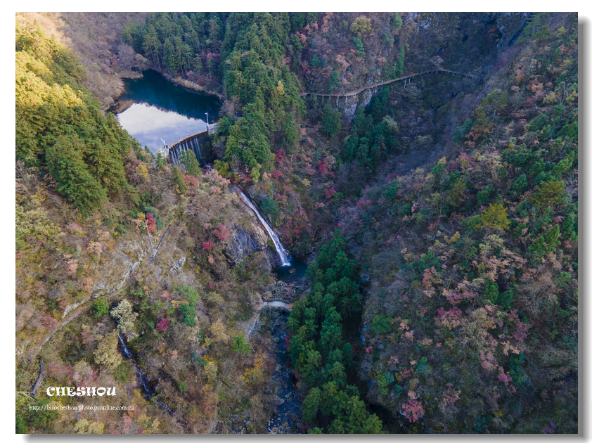 DJI_0580.jpg