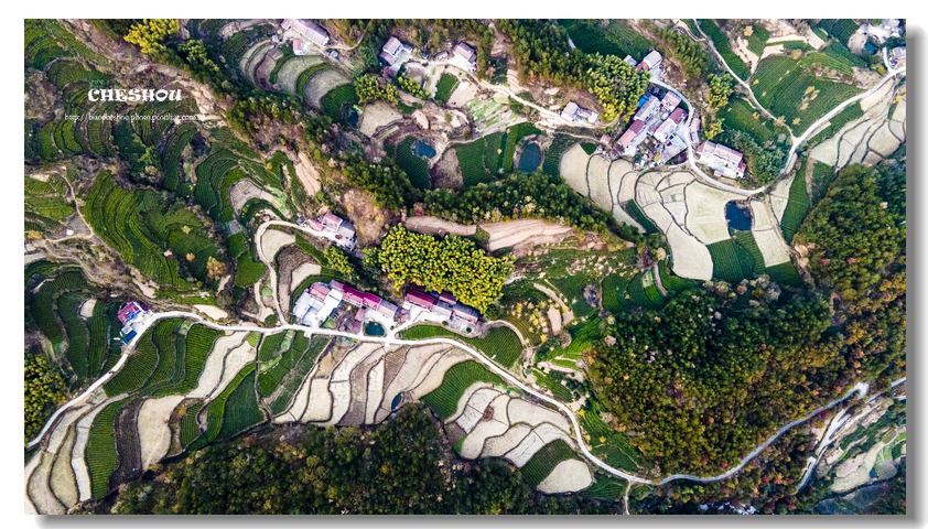 DJI_0646.jpg