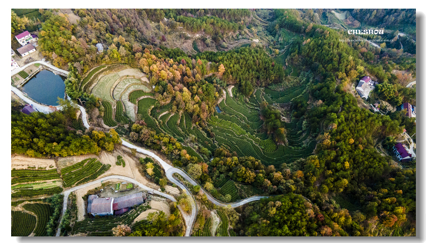 DJI_0639.jpg