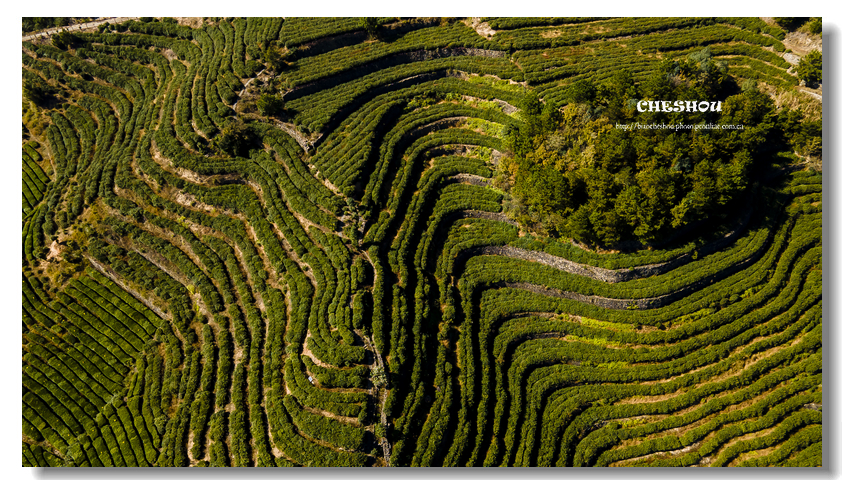 DJI_0670.jpg