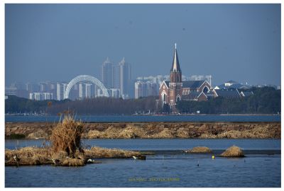 DSC_0093.JPG