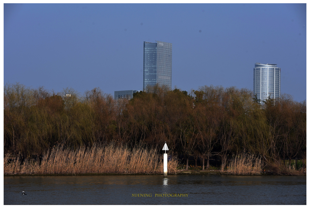 DSC_0069.JPG