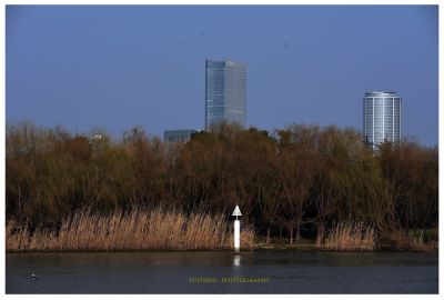 DSC_0069.JPG