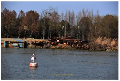 DSC_0072.JPG