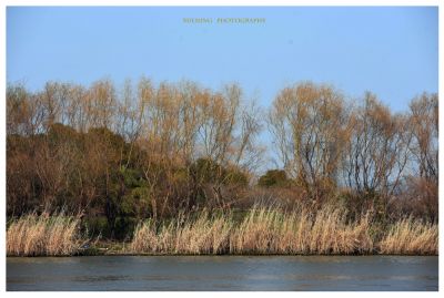 DSC_0080.JPG