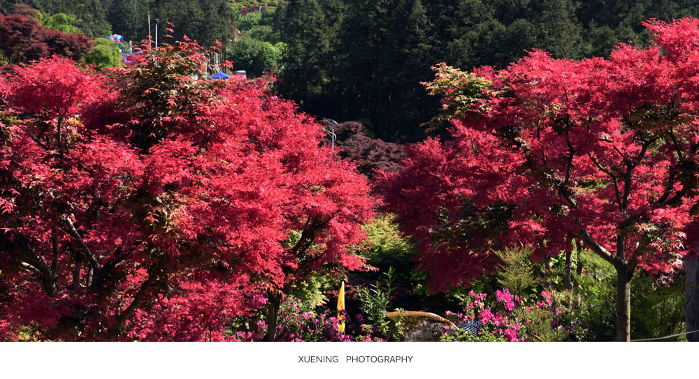 DSC_0575.JPG