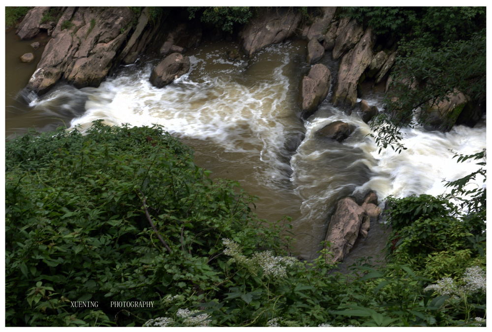 DSC_1160.JPG