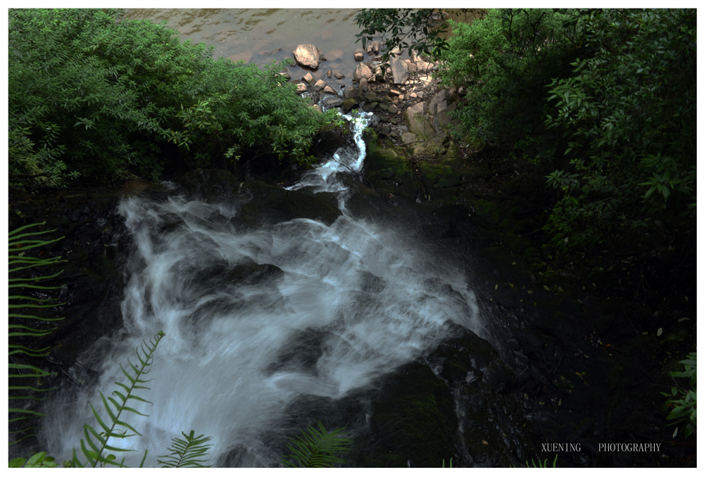 DSC_1169.JPG