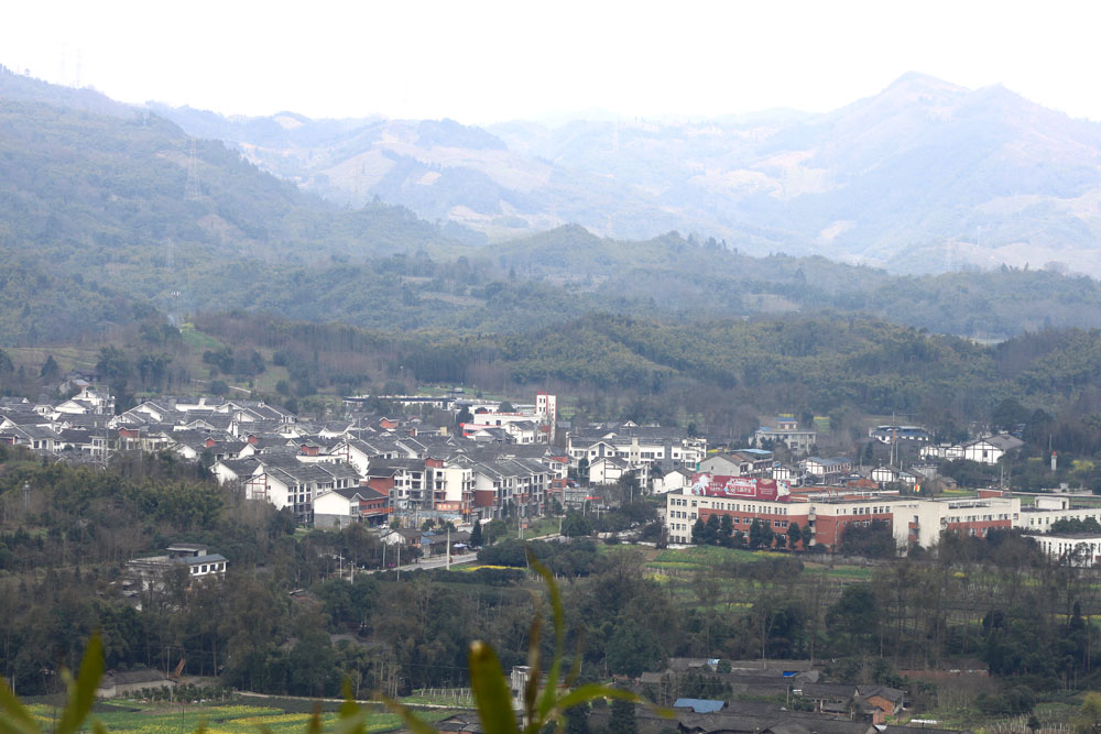 IMG_6742.JPG