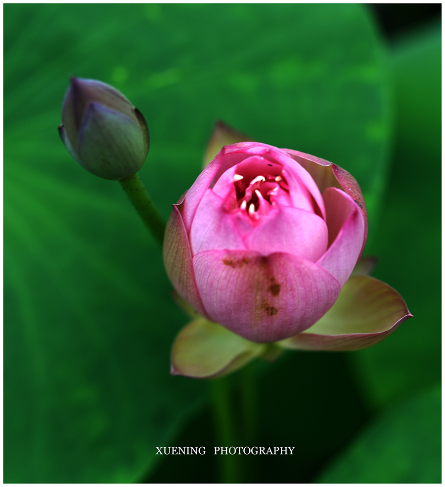 DSC_1817.JPG