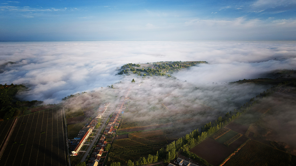 DJI_0319.JPG