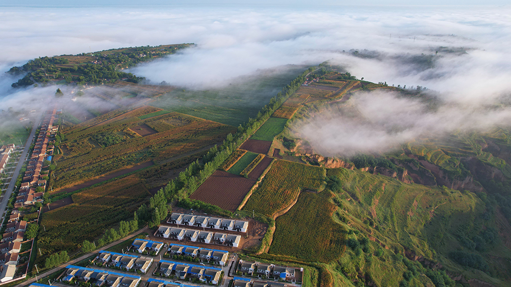 DJI_0321.JPG