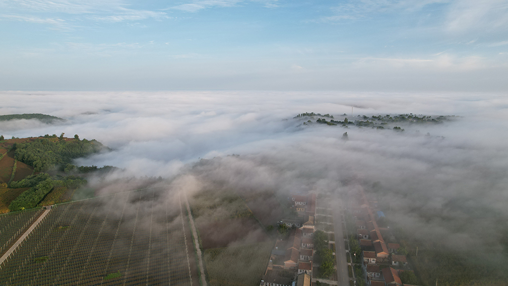 DJI_0306.JPG