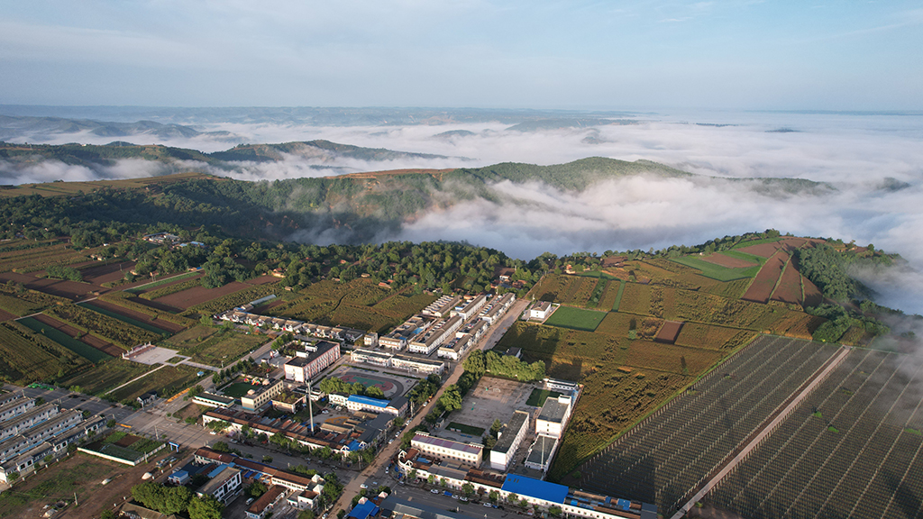 DJI_0328.JPG