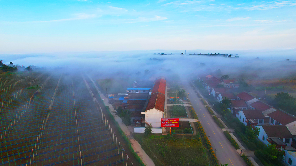 DJI_0347.JPG