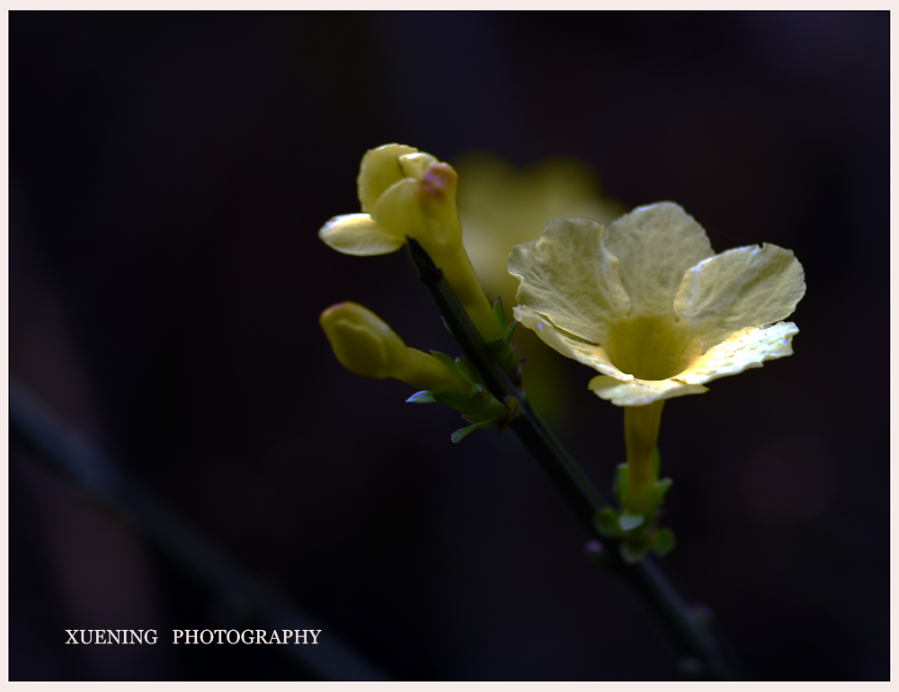 DSC_3201.JPG