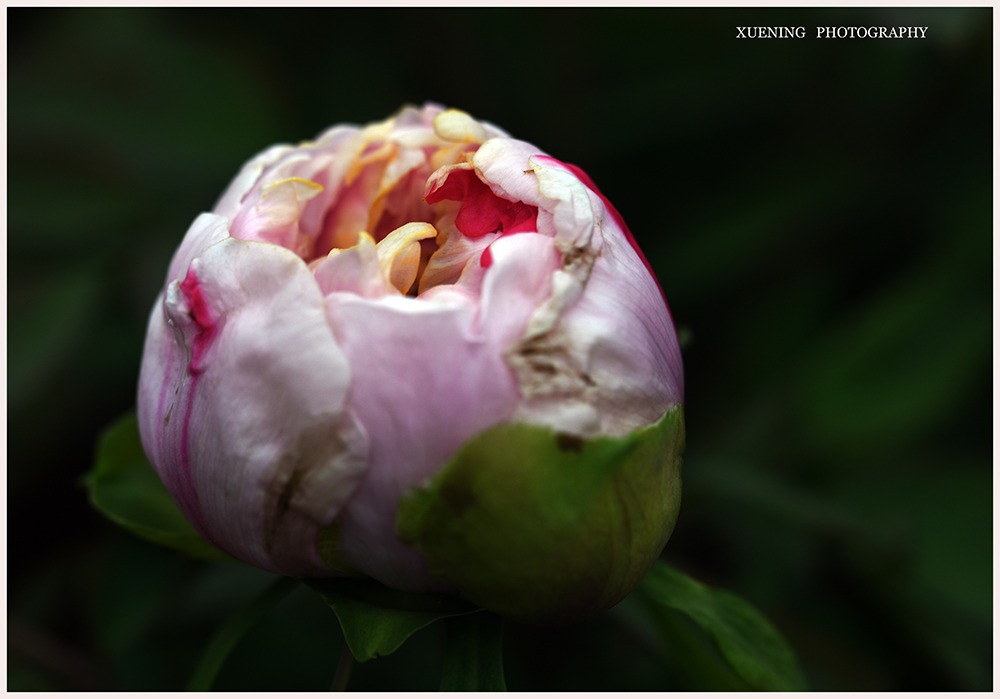 DSC_3248.JPG