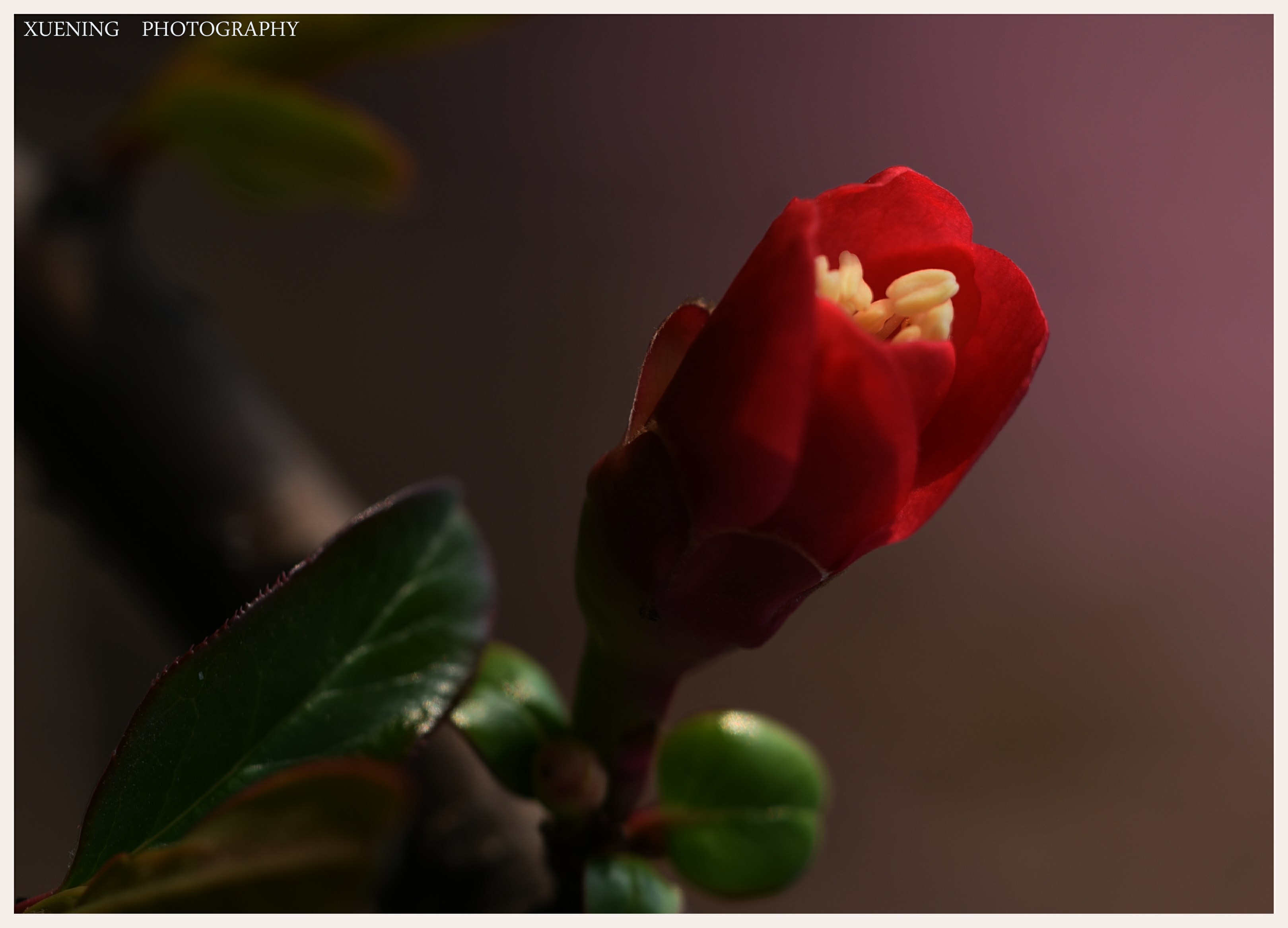 DSC_3649.jpg