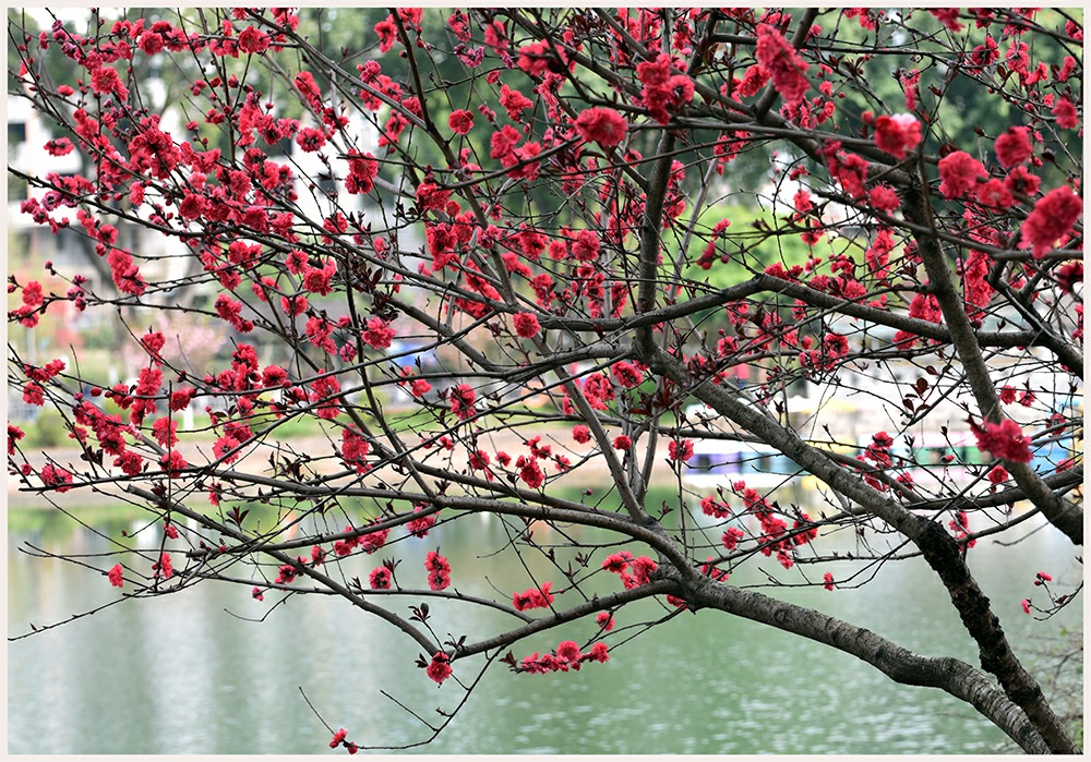DSC_4278.jpg