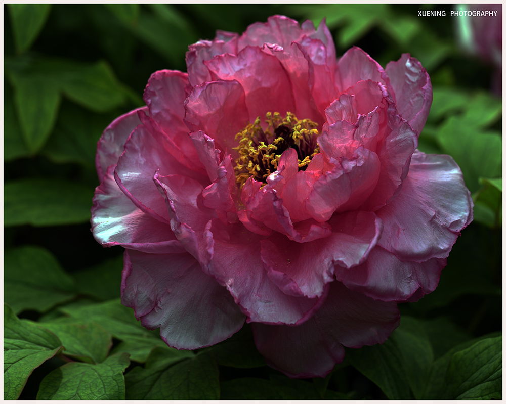 DSC_6040.JPG