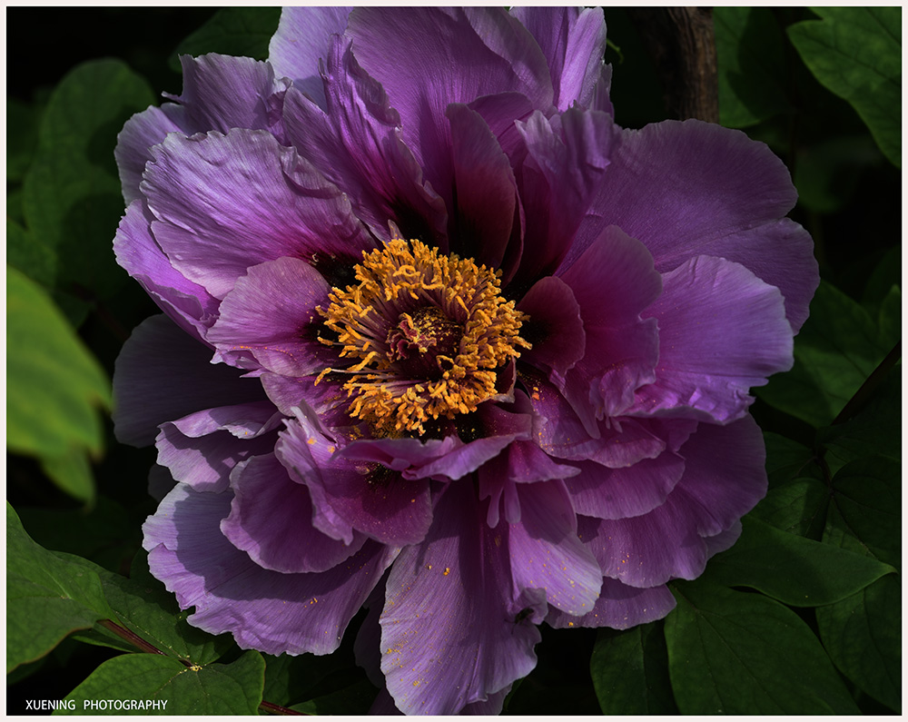 DSC_6052.JPG
