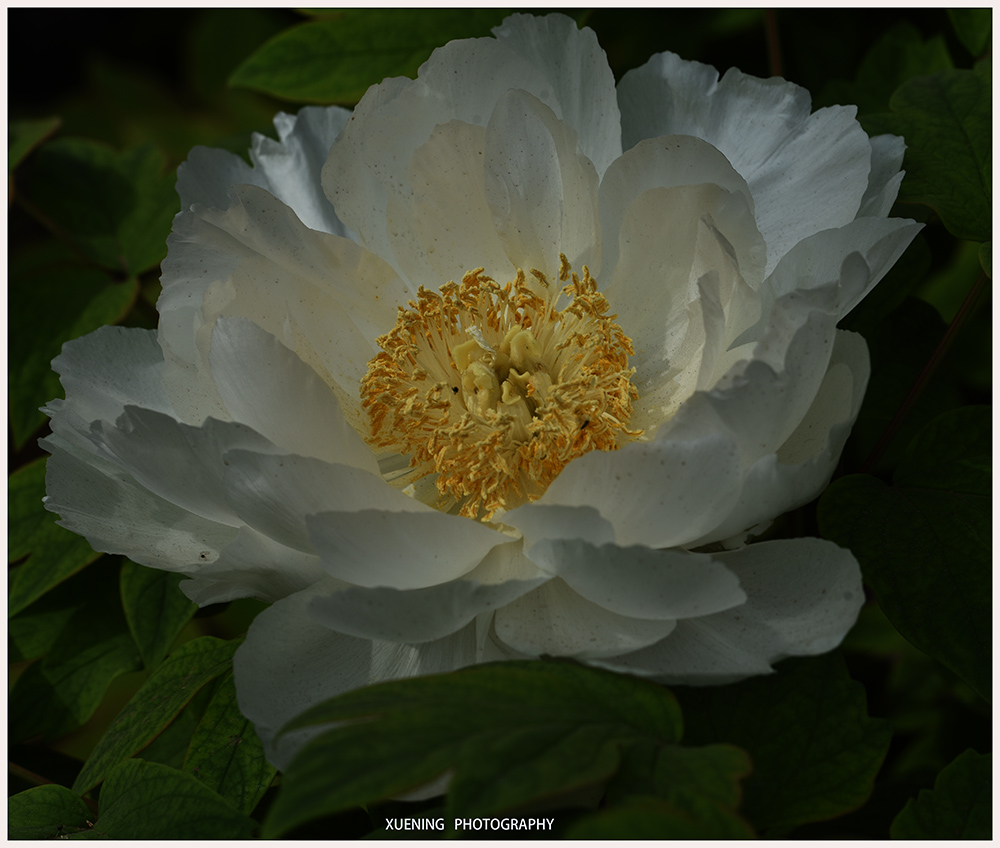 DSC_6074.JPG