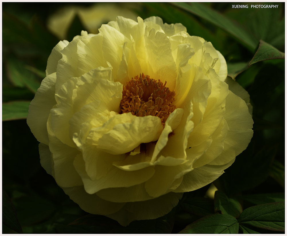 DSC_6079.JPG