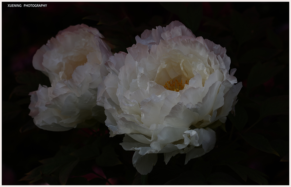 DSC_6201.JPG