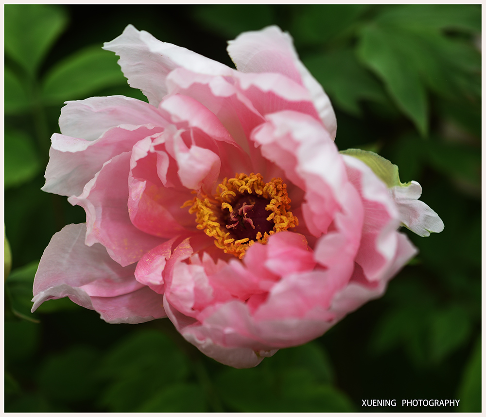 DSC_6286.JPG