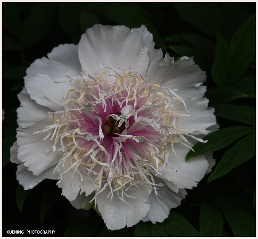 DSC_6362.JPG