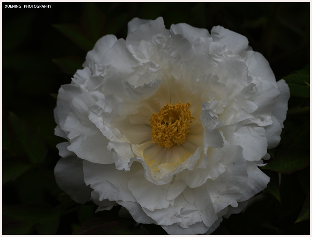DSC_6406.JPG