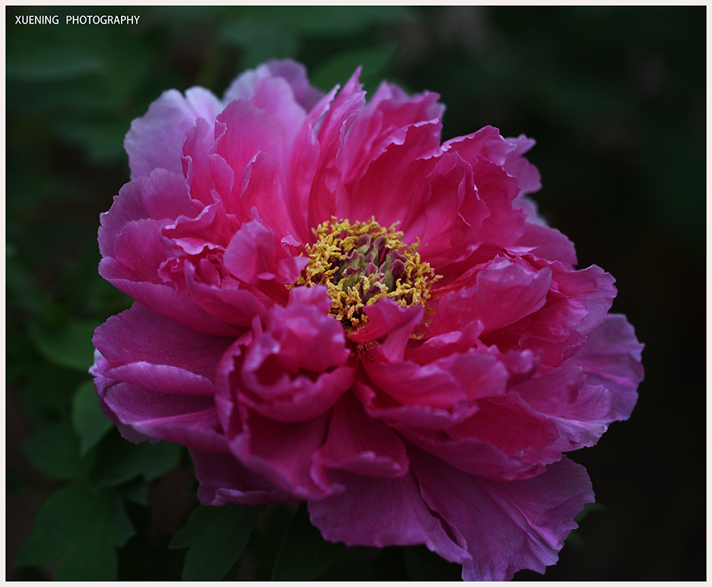 DSC_6420.JPG