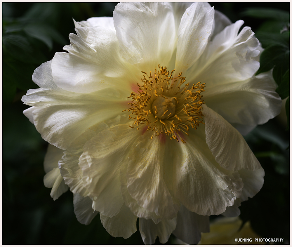DSC_6815.JPG