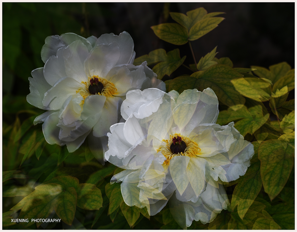DSC_6972.JPG