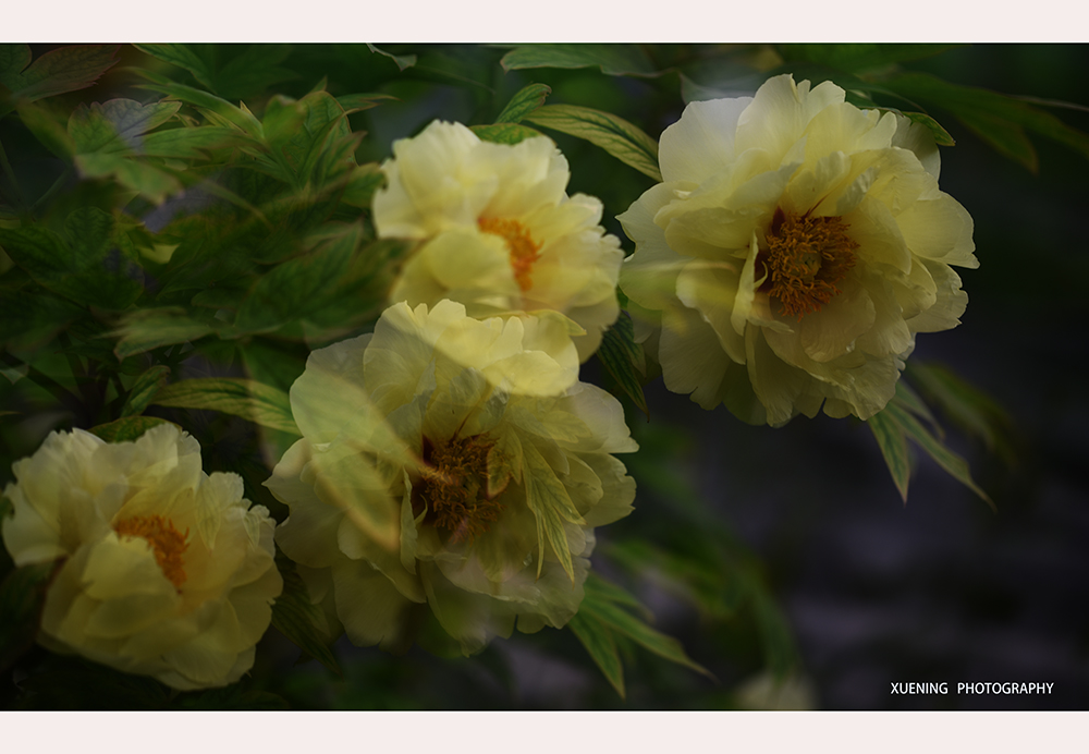DSC_7035.JPG