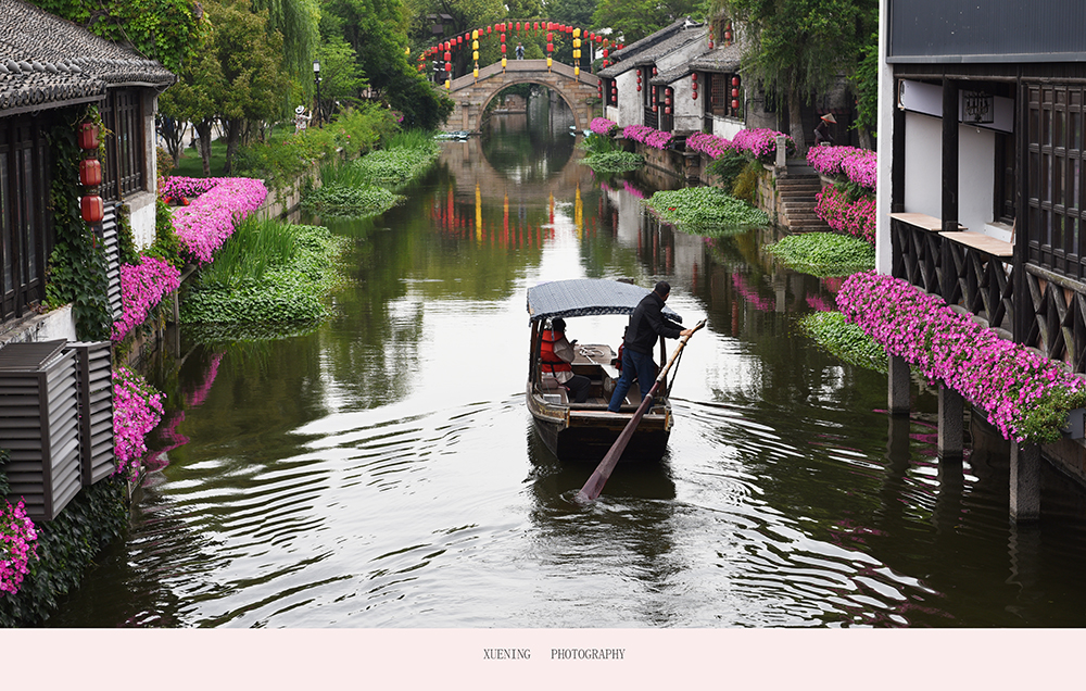 DSC_7913 拷贝 2.jpg