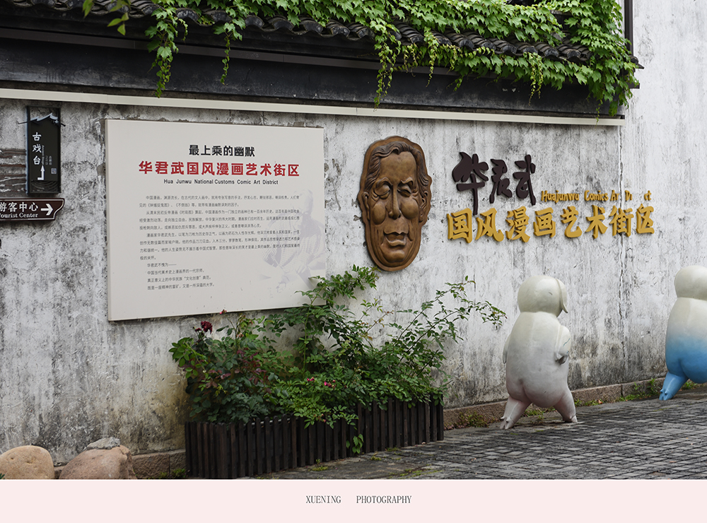 DSC_7917 拷贝 2.jpg