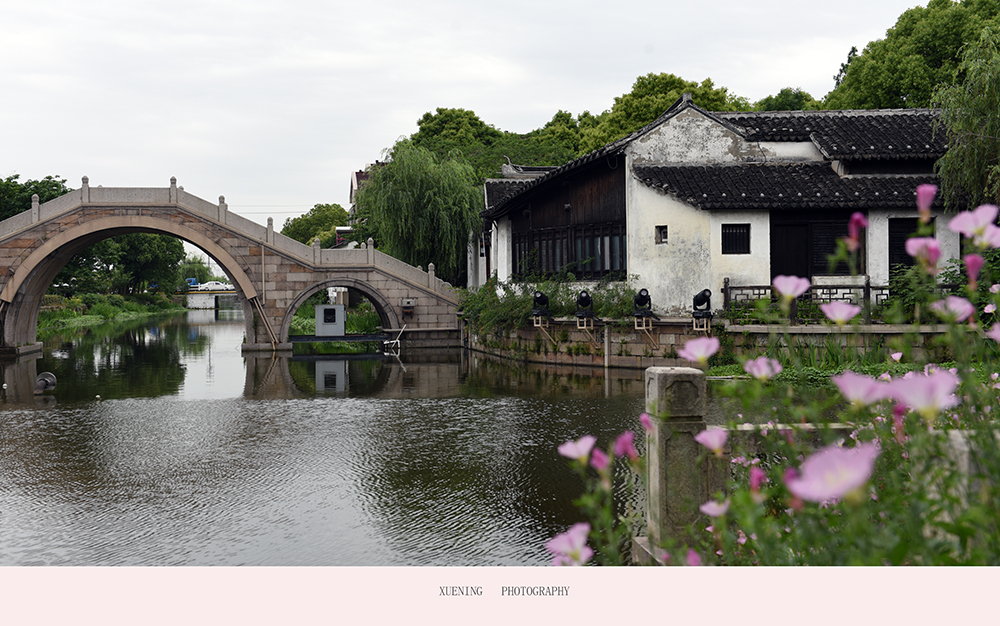 DSC_7988 拷贝 2.jpg