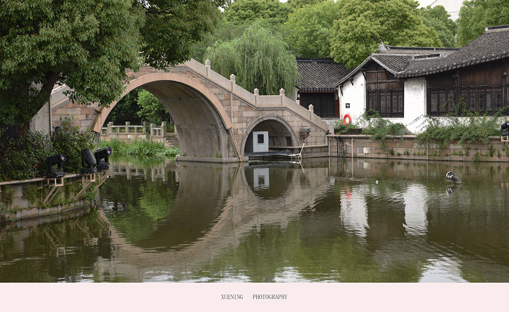 DSC_7984 拷贝 2.jpg
