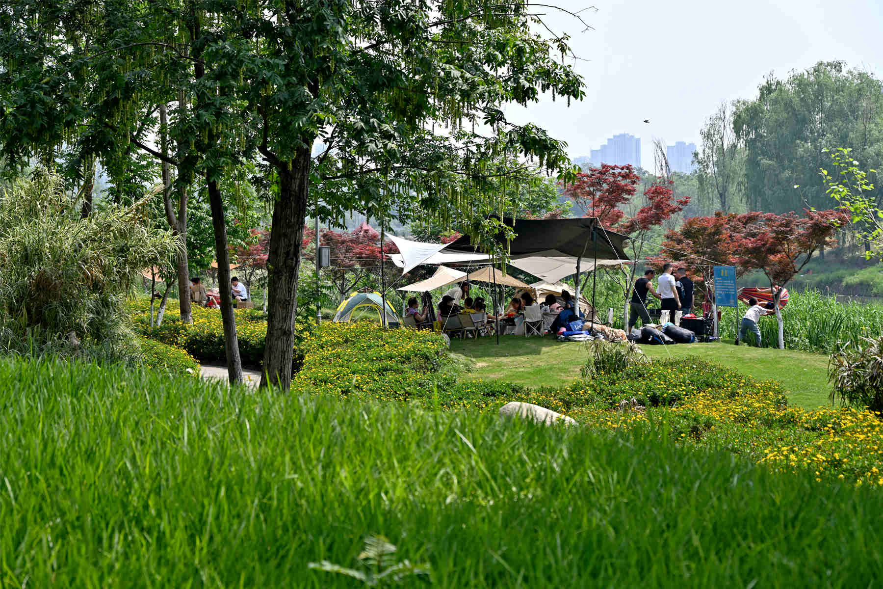 ABC_0477_副本.jpg