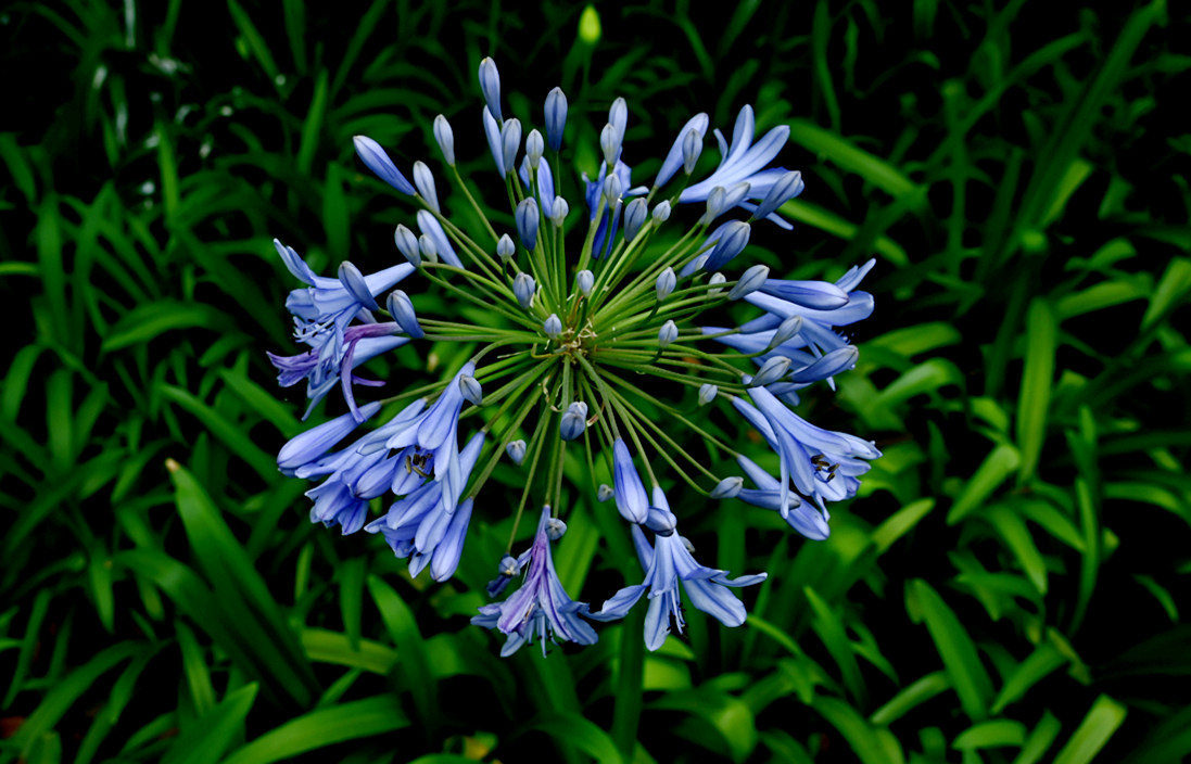DSC_1750_副本.jpg