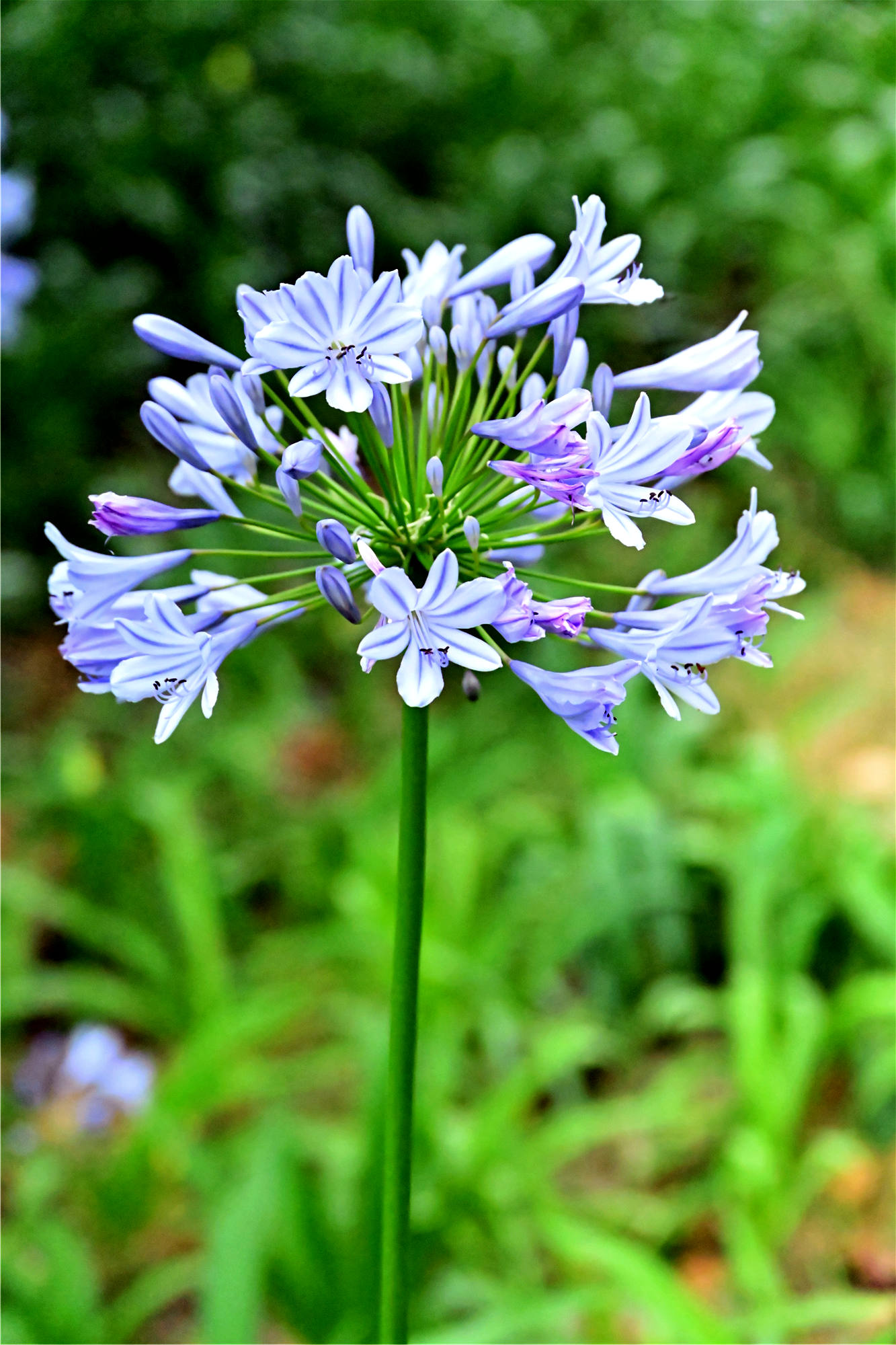 DSC_1773_副本.jpg