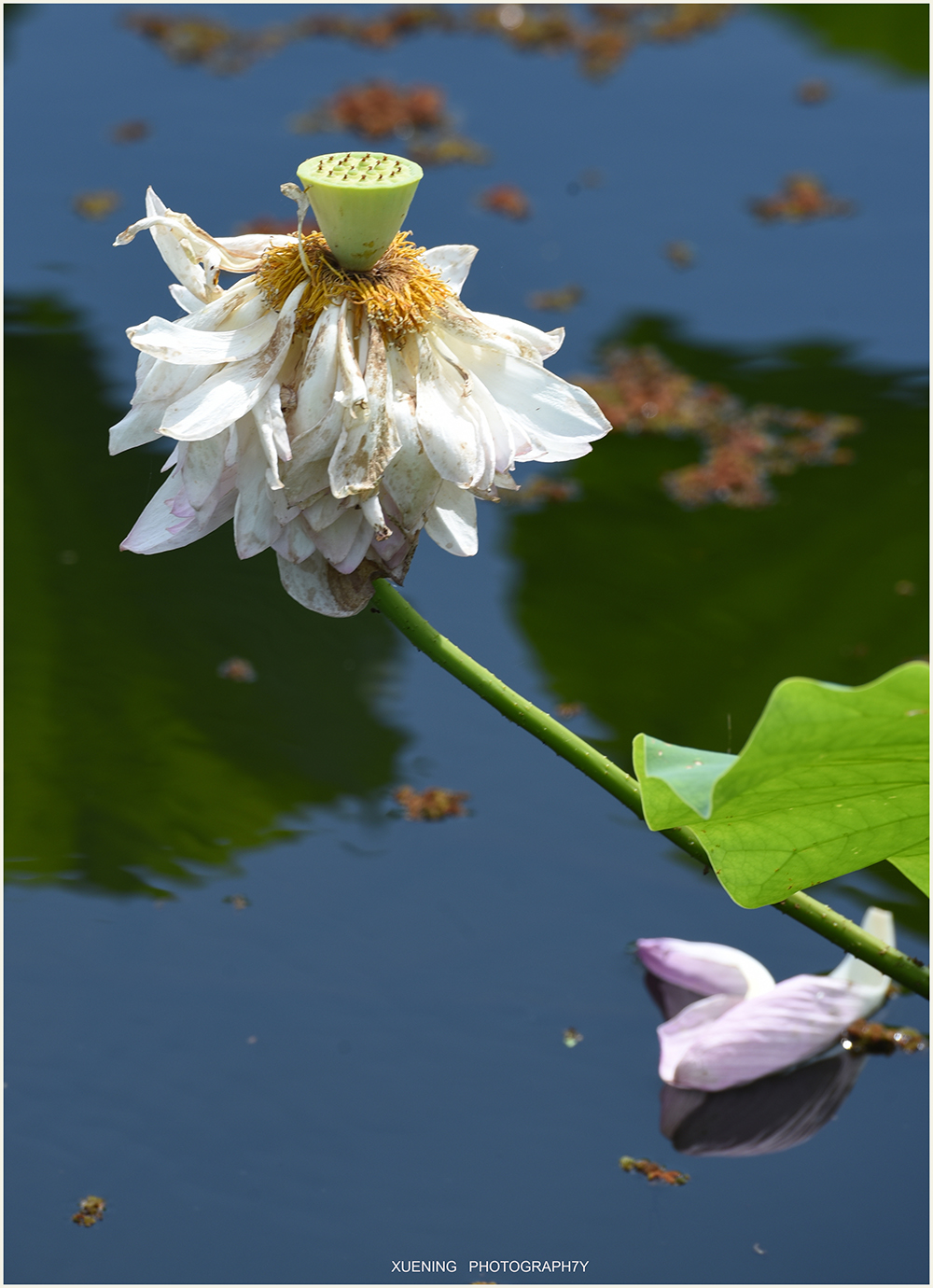 DSC_0358 拷贝 3.jpg