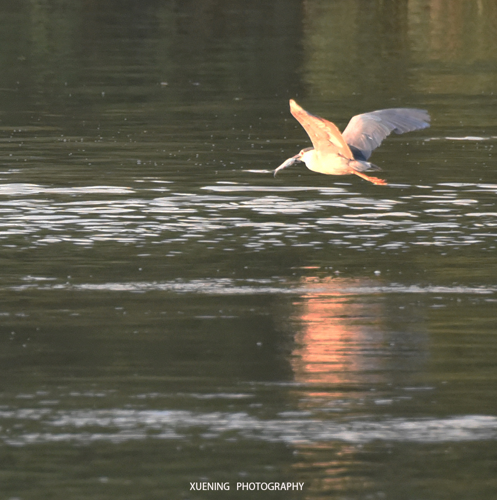 DSC_0748 拷贝 2.jpg