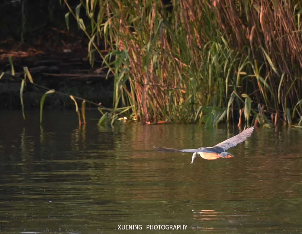 DSC_0753 拷贝 2.jpg