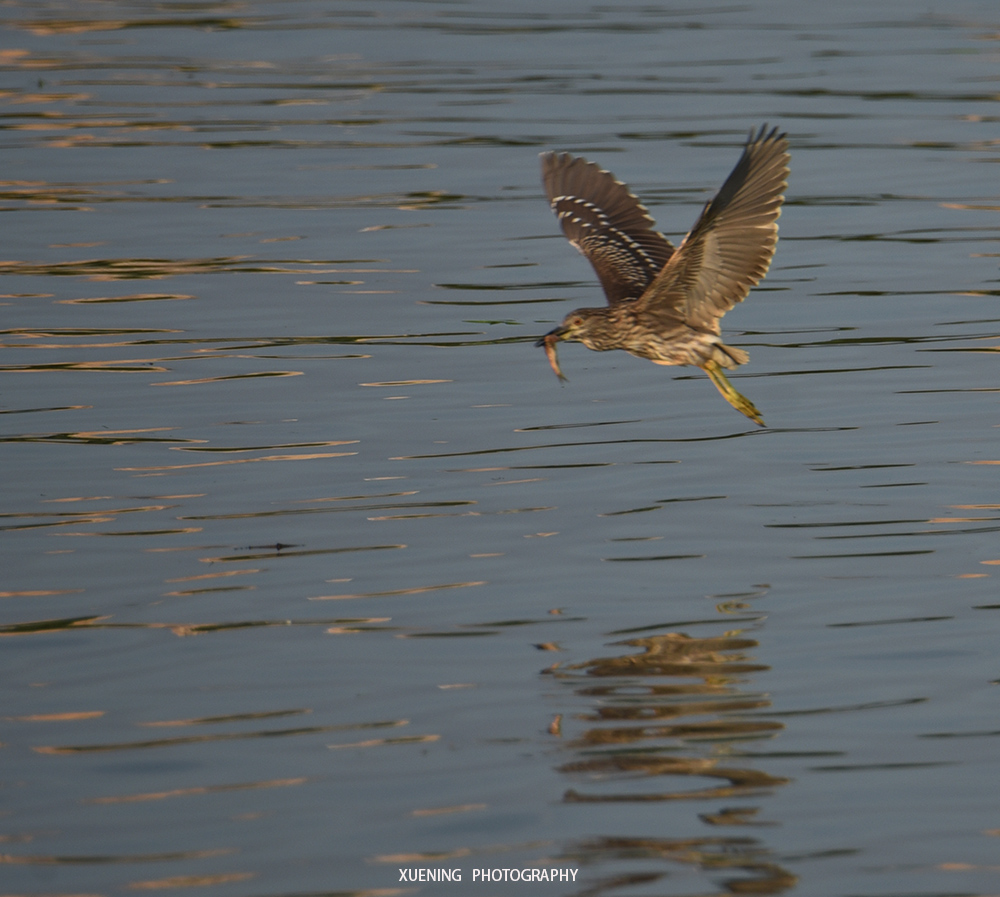 DSC_0691 拷贝 2.jpg