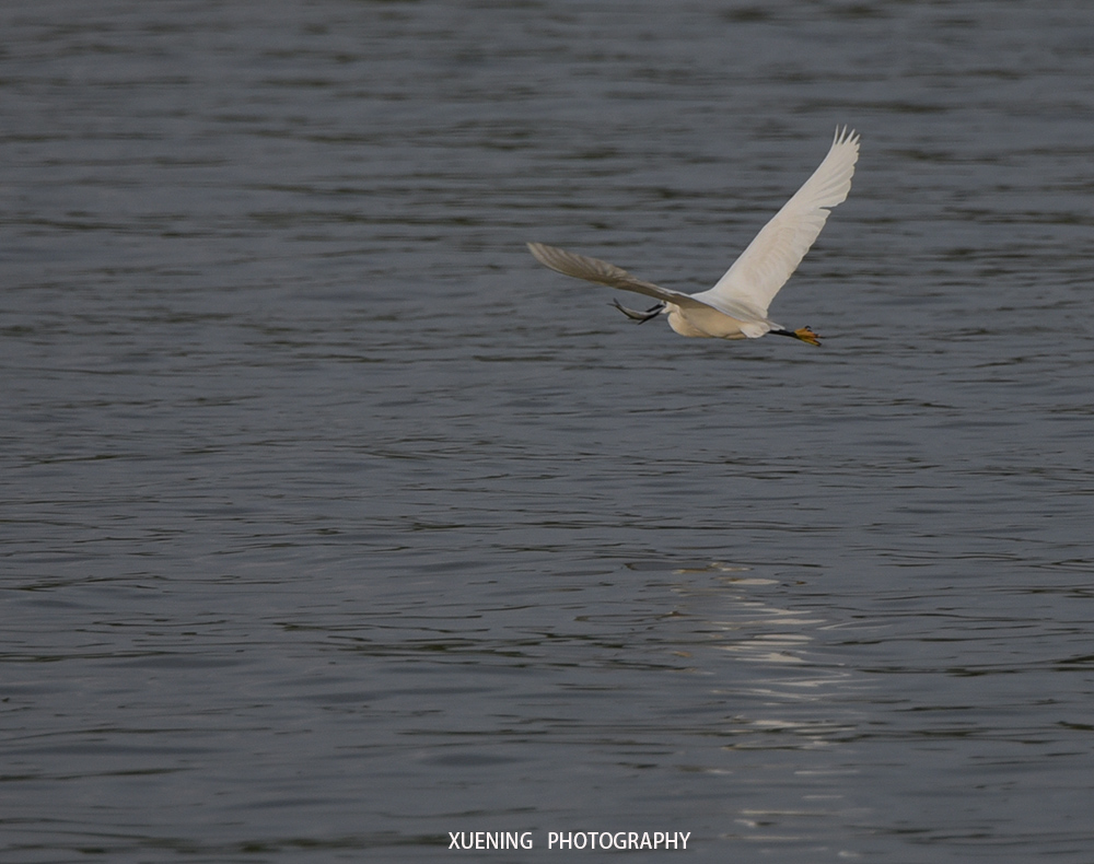 DSC_0725 拷贝 2.jpg