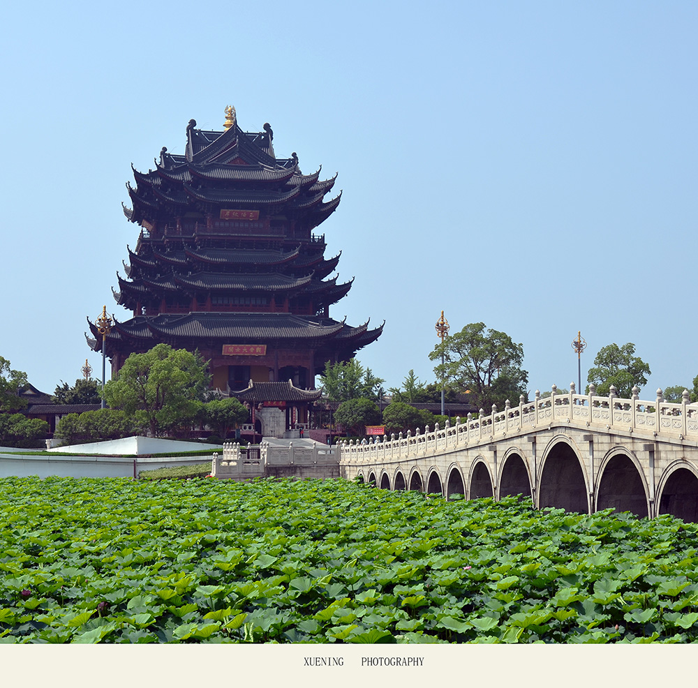 DSC_6206 拷贝 2.jpg